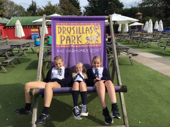 Fun at Drusillas for Year 6